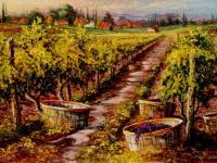 Vineyard Series #3